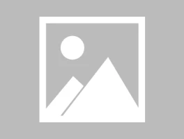 Crypto News: Trump's Take and ETF Delays